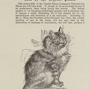 Cats at the Crystal Palace (engraving)