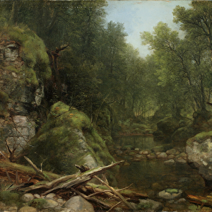 Chapel Pond Brook, Keene Flats, Adirondack Mountains, N. Y. 1870 (oil on canvas)