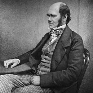 Charles Darwin (engraving)