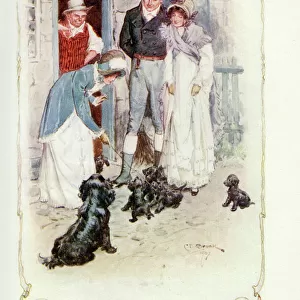 A charming game with a litter of puppies, 1907 (illustration)