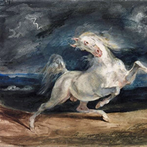 Cheval effraye par la foudre - Horse Frightened by Lightning - Delacroix, Eugene (1798-1863) - 1825-1829 - Watercolour, Gouache on Paper - 23, 6x32 - Szepmuveszeti Muzeum, Budapest