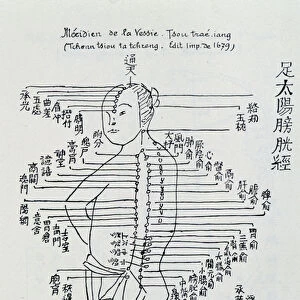 Chinese acupuncture: the meridian of the bladder, 1679
