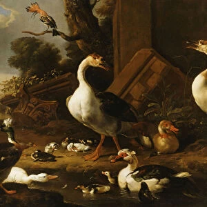 Chinese and Egyptian Geese and other birds in a Landscape with Ruins nearby