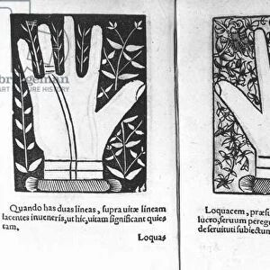Chiromantic Hands, illustration from Chiromatiae Principiis