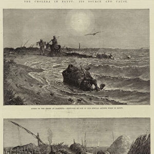 The Cholera in Egypt, Its Source and Cause (engraving)