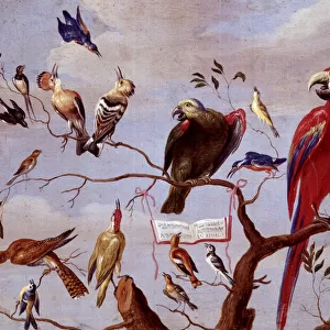 A Chorus of Birds, c. 1650-1675 (oil on metal)