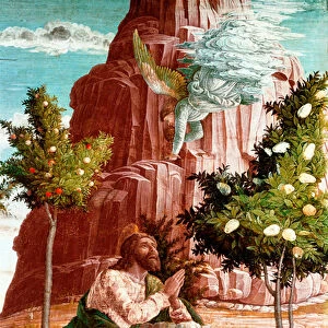 Christ prays in the Garden of Olives. Detail. Predelle of the altarpiece of San Zeno de