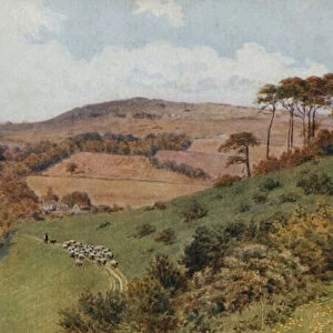 Cissbury Ring near Worthing (colour litho)
