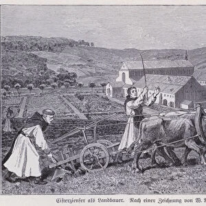 Cistercian monks working in the fields of a monastery farm (engraving)
