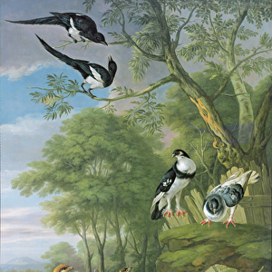 Cock pheasant, hen pheasant and chicks and other birds in a classical landscape
