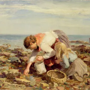 Collecting Shells