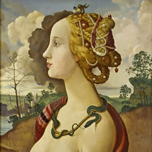 Copy of Portrait of Simonetta Vespucci, by Piero di Cosimo (c