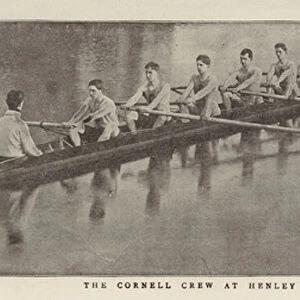 The Cornell Crew at Henley (b / w photo)