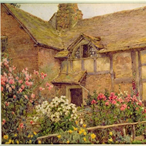 A Cottage garden in Cholstry