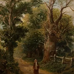 Country Lane, perhaps Church Lane, Allesley, c. 1880 (oil on canvas)