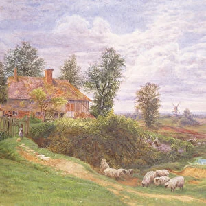 A Country Scene with windmills