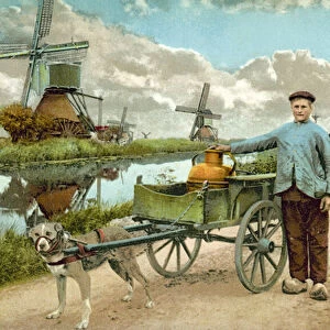 Countryside scene, Holland (colour photo)