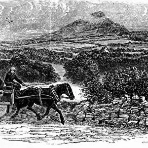 County Wicklow, print made by E. Taylor (engraving)