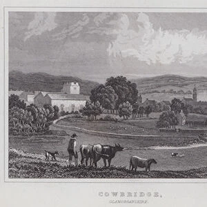 Cowbridge, Glamorganshire (engraving)
