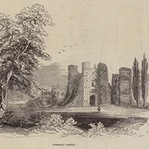 Cowdray Castle (engraving)