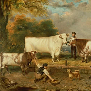 Cows with a herdsman (print)