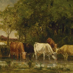 Cows in Landscape, 1880 (oil on canvas)