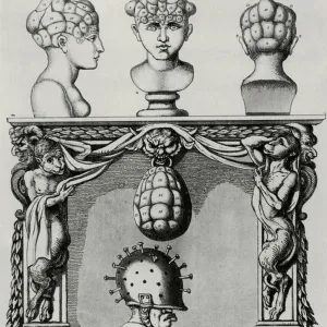 Craniological Map Print