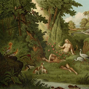 The Creation of Eve (colour litho)