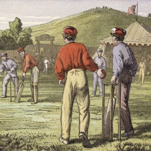 Cricket (coloured engraving)