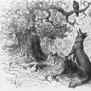 The Crow and the Fox, from Fables by Jean de La Fontaine (1621-95) (engraving)