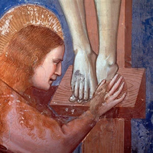 Crucifixion, detail of the Magdalene (Fresco, 1304-1306)