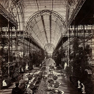 The Crystal Palace in London: the botanical section, 1870 (b / w photo)