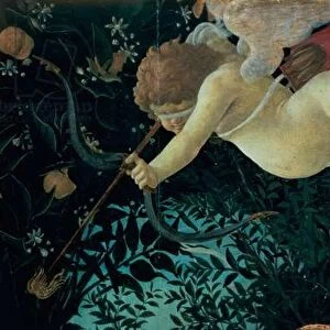 Detail of Cupid, from the Primavera (tempera on panel) (detail of 558)