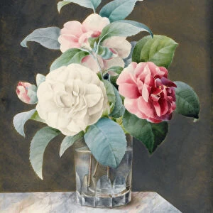 A Cut Glass Vase Containing White, Pink and Red Camelias on a Variegated Marble Slab