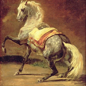 Dappled Grey Horse (oil on paper laid on canvas)
