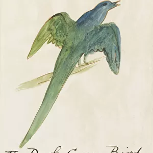 The Dark Green Bird, from Sixteen Drawings of Comic Birds