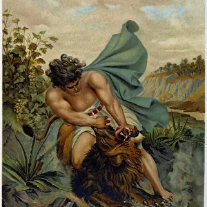 David fighting against a lion in "Aurea Bibbia classica