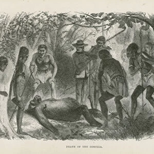 Death of the Gorilla (engraving)