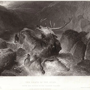 The Death of the Stag (engraving)