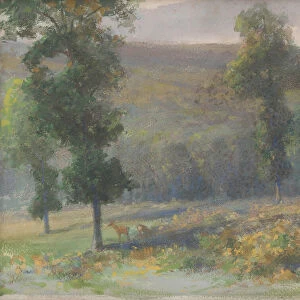Deer in Forest, 1905 (tempera on paper)