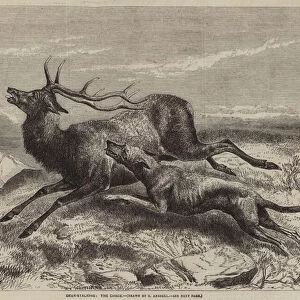 Deer-Stalking, the Chace (engraving)