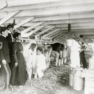 Demonstration of milk testing in stable, at Hampton Institute, Hampton, Virginia 1899 (photo)