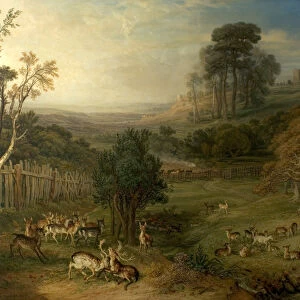 A Dewy Morning (The Duel of the Stags), 1849 (oil on canvas)