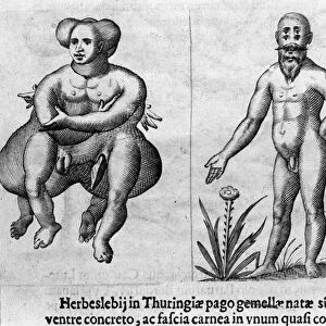 Different types of human monsters. Engraving from "De monstrorum natura