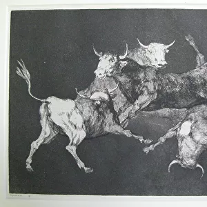 Disparate de tontos (Fool's folly), 1877 (etching, aquatint & drypoint)