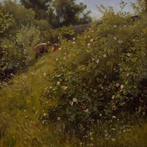 Dog roses, 1886