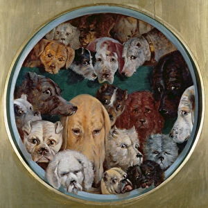 Twenty Dogs, 1865