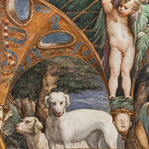 Dogs, from the Room of Diana and Actaeon, detail of 2384753, 1524