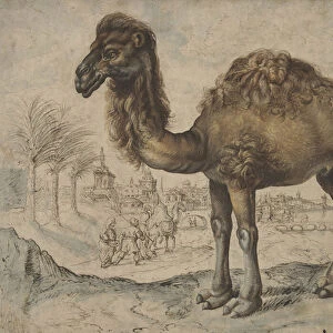 Dromedary in an Eastern Landscape with a City, 1600 (ink and brush on paper)
