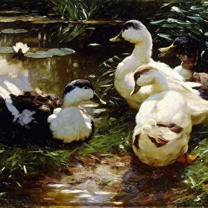 Ducks on a Riverbank, (oil on canvas)